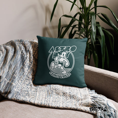 Basic Pillow [ATM] COLLEGE ATOM2
